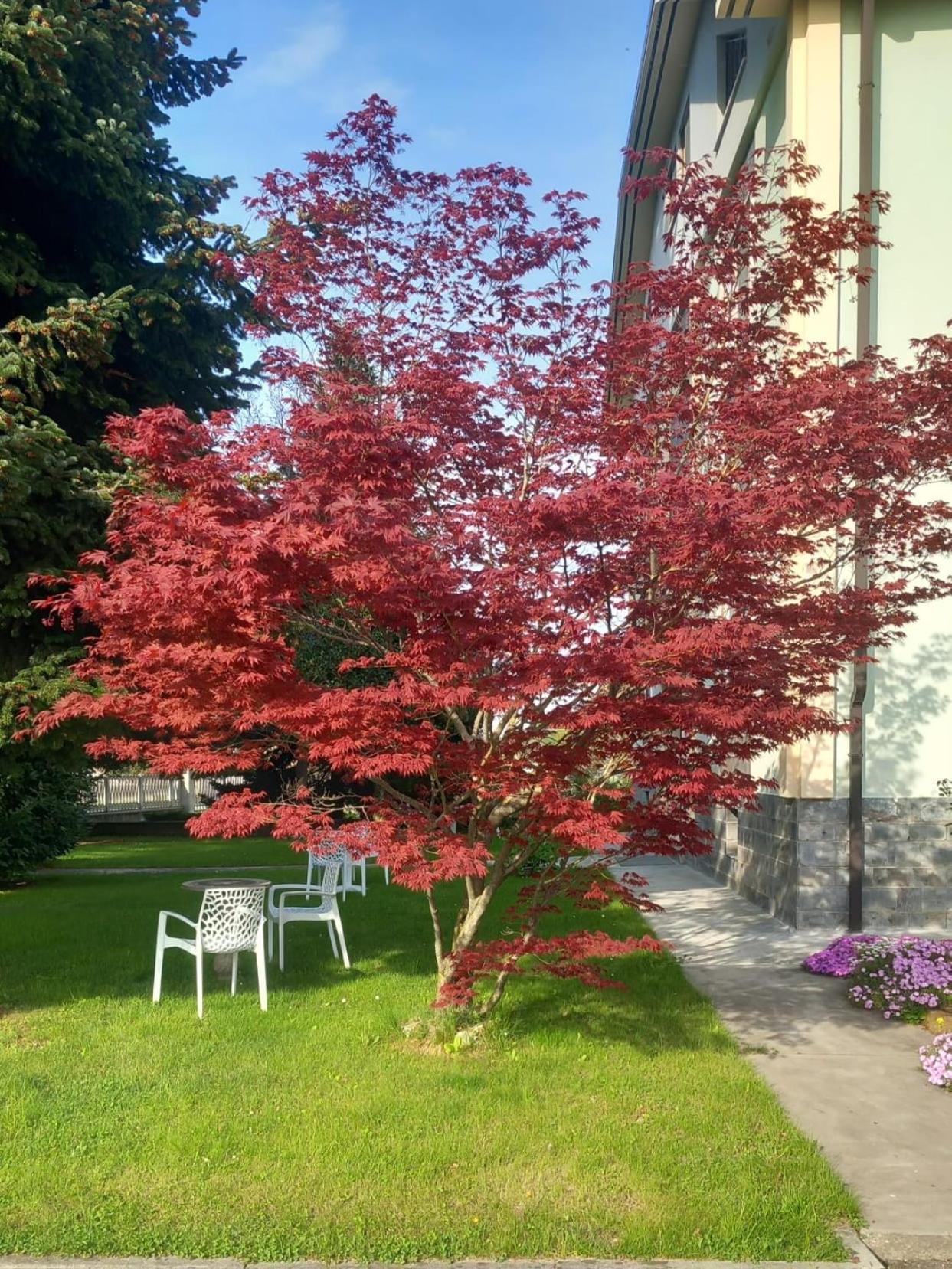 B&B Il Castagno Roccavione Extérieur photo